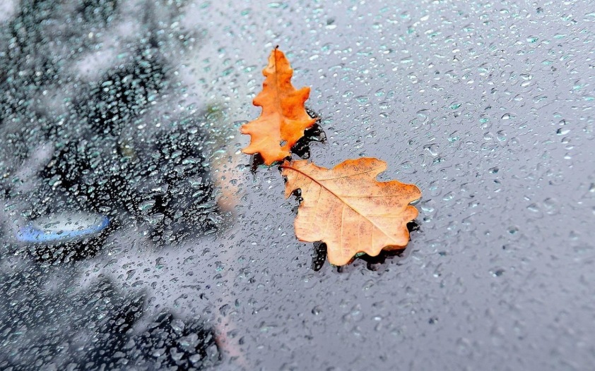 herfstbladeren-op-het-raam-en-regendruppels-hd-herfst-achtergrond